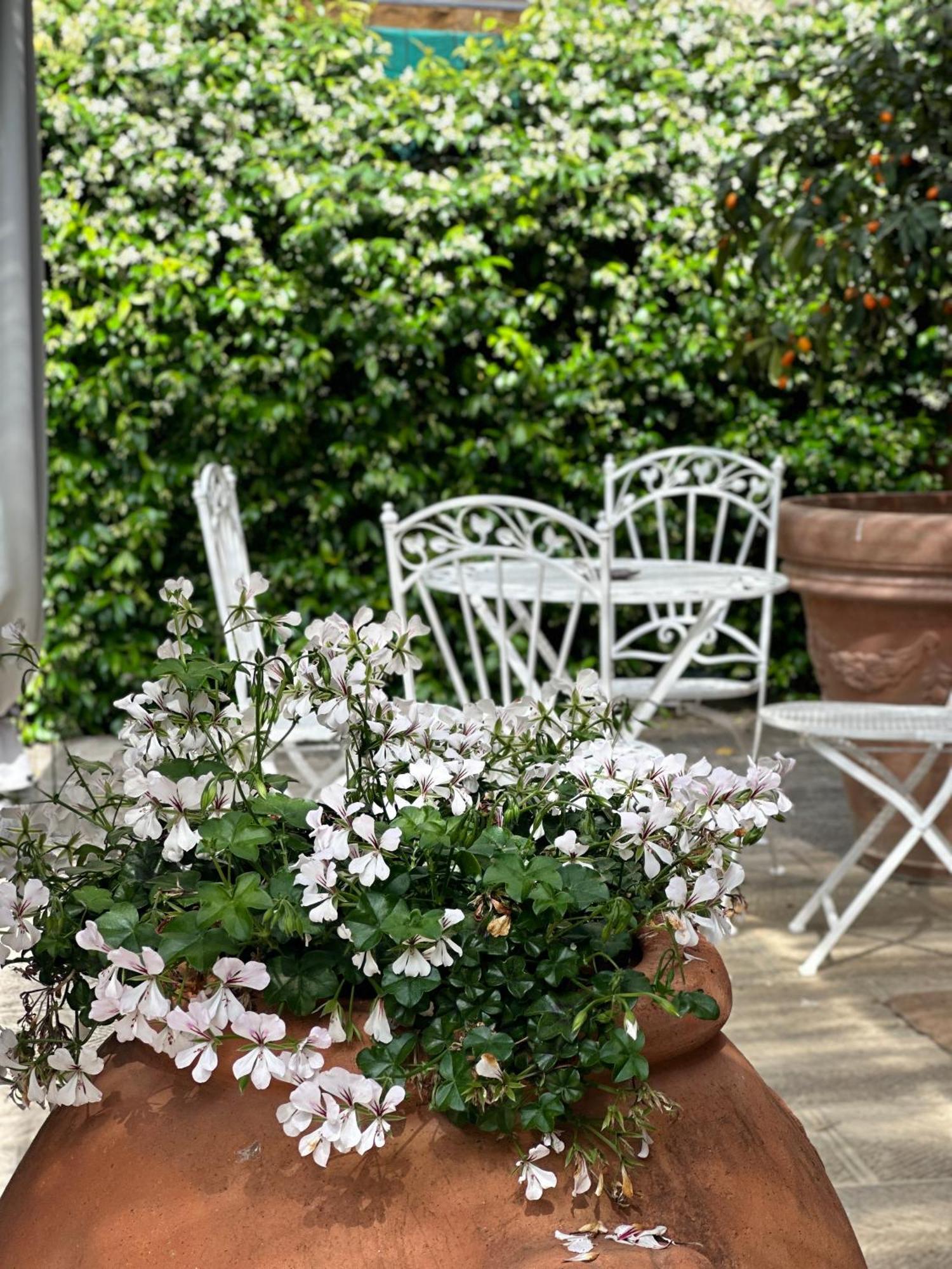 Escape With Pool In Appartement Florence