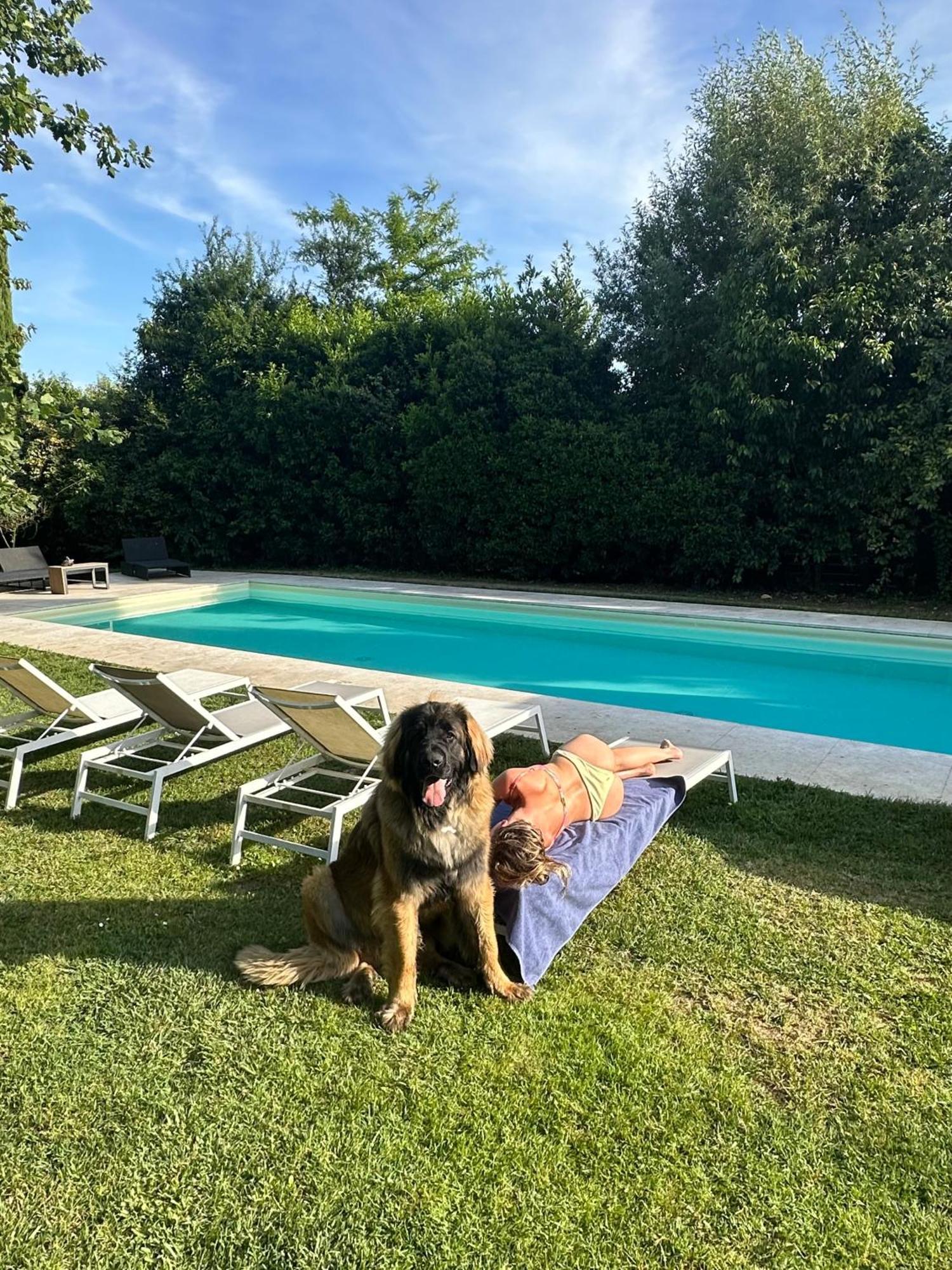 Escape With Pool In Appartement Florence